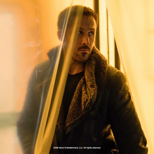 Blade Runner 2049: The Final Online Auction