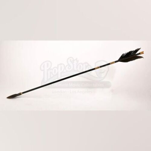 Lot # 2 - ALEXANDER - Black Persian Arrow