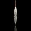 Lot # 10 - ASSASSIN'S CREED - Lin's (Michelle H. Lin) Rope Dart
