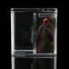 Lot # 337 - Loose Jawa AFA U85