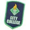 Lot # 14 - S1E09 - "City College Debate Team Patch": City College Debate Team Patch