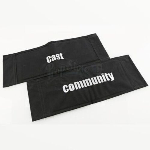 Lot # 116 - Various Episodes: Two Cast Chairbacks