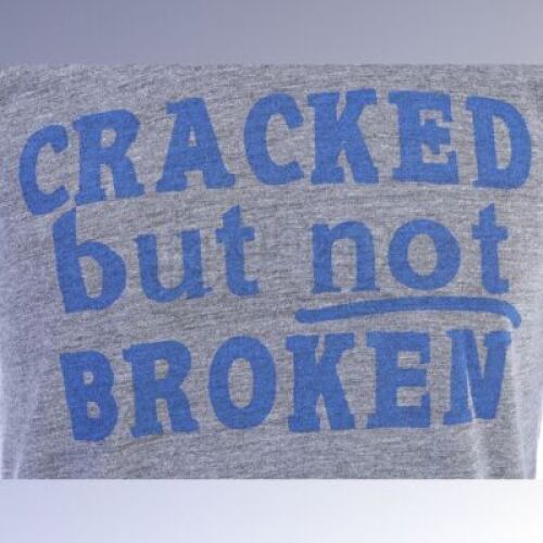 Lot # 162 - S5E03 - "Basic Intergluteal Numismatical": Two "Cracked But Not Broken" T-Shirts