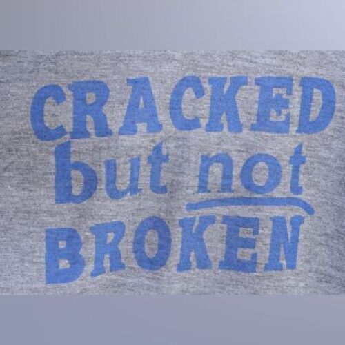Lot # 196 - S5E03 - "Basic Intergluteal Numismatical": Three "Cracked But Not Broken" T-Shirts