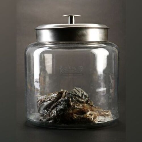 PACIFIC RIM - Kaiju Jar with Metal Lid