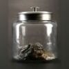 PACIFIC RIM - Kaiju Jar with Metal Lid
