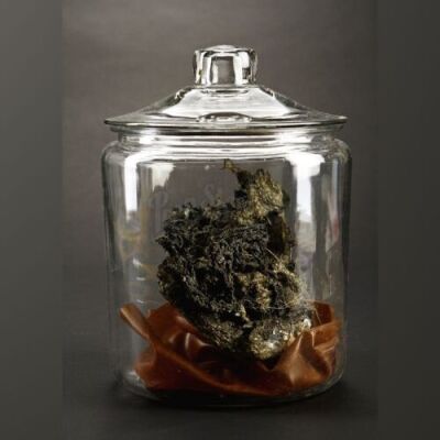 PACIFC RIM - Kaiju Jar with Glass Lid