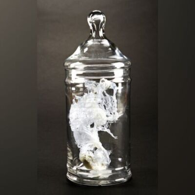 PACIFIC RIM - Small Kaiju Jar