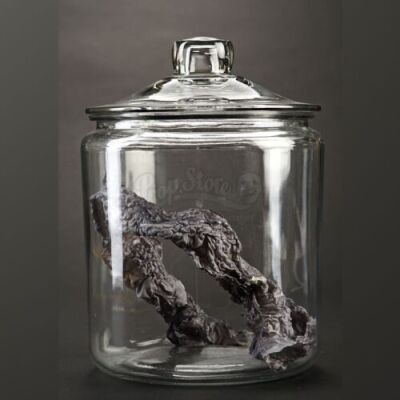 PACIFIC RIM - Kaiju Jar With Glass Jar