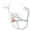 Lot # 127 - The Divergent Series: Insurgent (2015): Marlene's Simulation Control Pellet With Wire