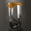 PACIFIC RIM - Large Kaiju Jar