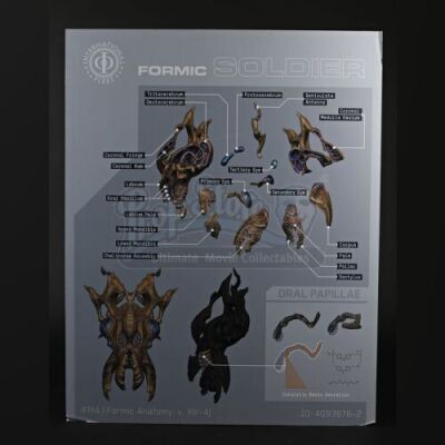 ENDER'S GAME - Formic Soldier Face Diagram