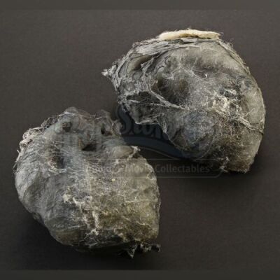 ENDER'S GAME - Dead Formic Eggs Lot 02