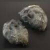 ENDER'S GAME - Dead Formic Eggs Lot 02