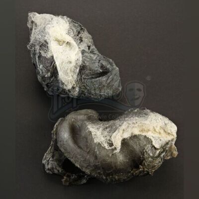 ENDER'S GAME - Dead Formic Eggs Lot 03