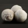 ENDER'S GAME - Dorm Baseball Set of Three