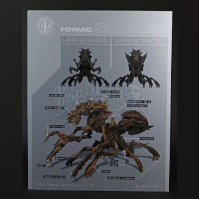 ENDER'S GAME - Formic Solider Limb Diagram