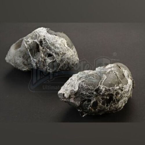 ENDER'S GAME - Dead Formic Eggs Lot 05