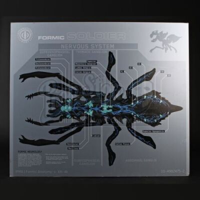 ENDER'S GAME - Formic Soldier Nervous System Diagram