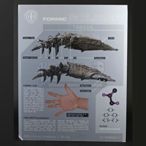 ENDER'S GAME - Formic Soldier Tarsus Diagram