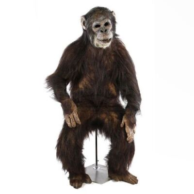 GREYSTOKE: THE LEGEND OF TARZAN, LORD OF THE APES (1984) - Complete Ape Display