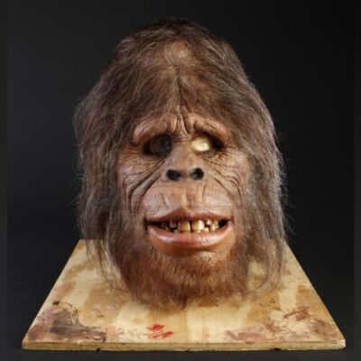HARRY AND THE HENDERSONS (1987) - Animatronic Female Sasquatch Head