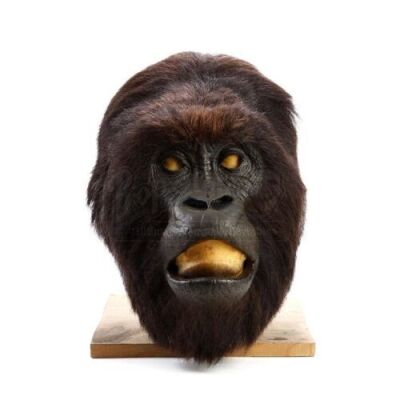 GORILLAS IN THE MIST (1988) - Digit (John Alexander) Head Skin