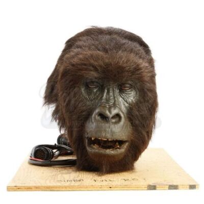 GORILLAS IN THE MIST (1988) - Simba R/C Head and Remote