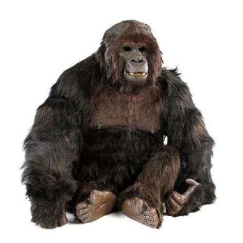 GORILLAS IN THE MIST (1988) - Complete Gorilla (Jody St. Michael) Costume Display