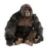 GORILLAS IN THE MIST (1988) - Complete Gorilla (Jody St. Michael) Costume Display