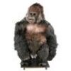 CINOVATION - Complete 'Shop Gorilla' Costume Display