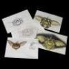 GREMLINS 2: THE NEW BATCH (1990) - Daffy Hand-Painted Color Tests