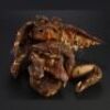 GREMLINS 2: THE NEW BATCH (1990) - Hatching Gremlin Puppet