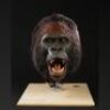 BABY'S DAY OUT (1994) - Animatronic Gorilla Mask