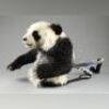 THE AMAZING PANDA ADVENTURE (1995) - Animatronic Waist-Up 'Ernie' Panda Puppet