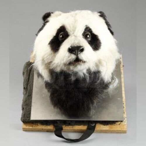THE AMAZING PANDA ADVENTURE (1995) - Animatronic 'Dave' Panda Head