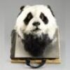 THE AMAZING PANDA ADVENTURE (1995) - Animatronic 'Dave' Panda Head