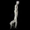 CINOVATION - Flying Fun House Ghost Decoration