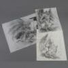 GARGOYLES (1998) - Hand-Drawn Goliath Character Design Sketches