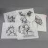MIGHTY JOE YOUNG (1998) - Hand-Drawn Mighty Joe Illustrations