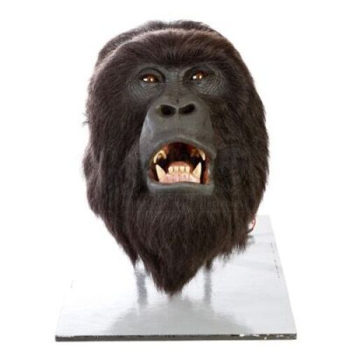 MIGHTY JOE YOUNG (1998) - Joe (John Alexander) R/C Animatronic Head
