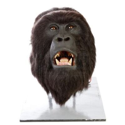 MIGHTY JOE YOUNG (1998) - Joe (John Alexander) R/C Animatronic Head