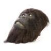 MIGHTY JOE YOUNG (1998) - Joe Face Skin with Hair