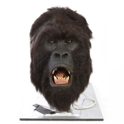 MIGHTY JOE YOUNG (1998) - Hero Joe (John Alexander) R/C Animatronic Head