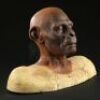PLANET OF THE APES (2001) - Chimp Paint Test Bust