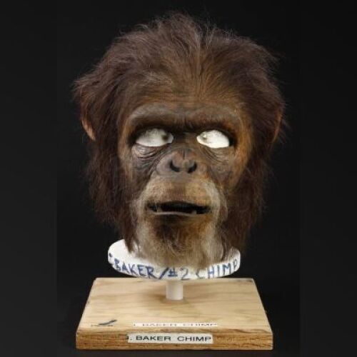 PLANET OF THE APES (2001) - Male Chimp (I. Baker) Mask