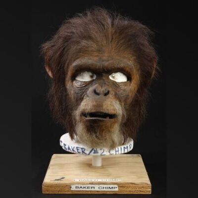 PLANET OF THE APES (2001) - Male Chimp (I. Baker) Mask