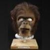 PLANET OF THE APES (2001) - Male Chimp (I. Baker) Mask