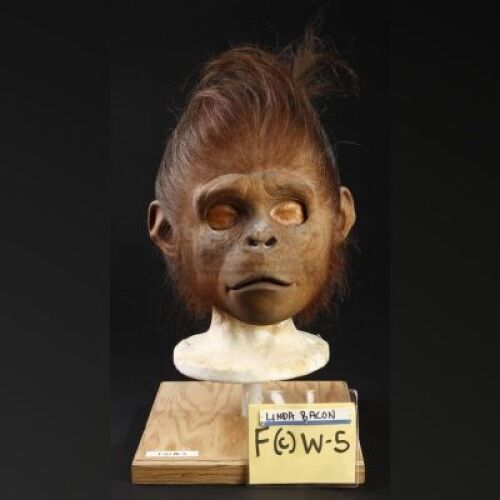 PLANET OF THE APES (2001) - Child Chimp (Linda Bacon) Mask