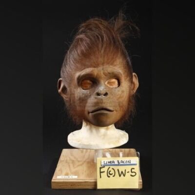PLANET OF THE APES (2001) - Child Chimp (Linda Bacon) Mask